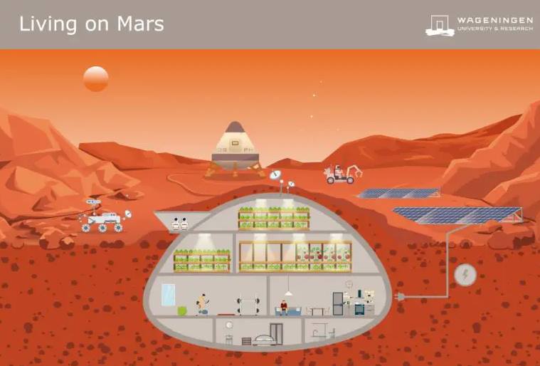 Mars'ta Nasıl Yaşayıp Nasıl Öleceğiz?