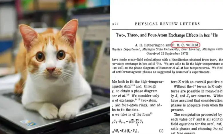 Fizikçi Kedi Chester Willard İle Tanışın