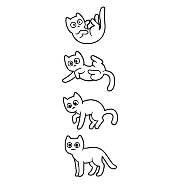 Kediler Neden Hep Dört Ayakları Üzerine Düşer?