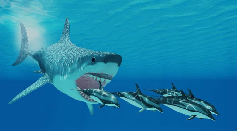 Megalodon Yaşıyor mu? En Büyük Köpek Balığının Neslinin Tükendiğinden Nasıl Emin Olabiliriz?