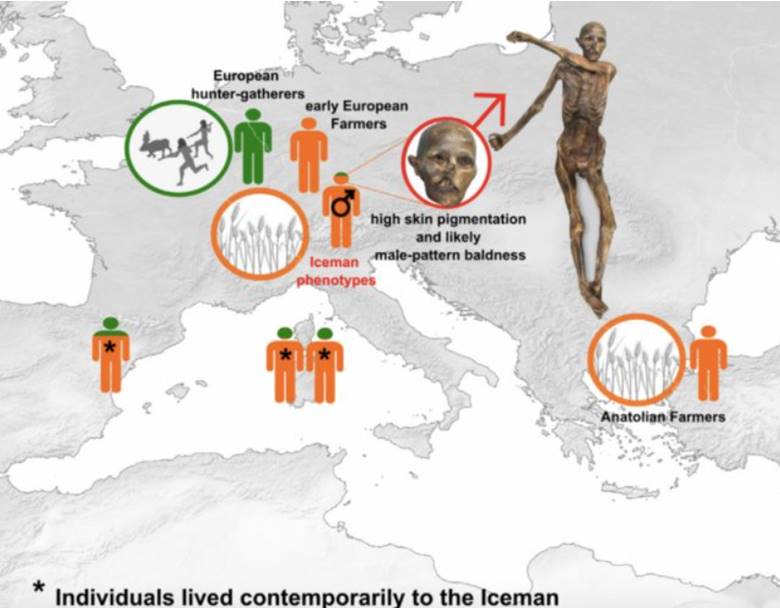 Buz Adam Ötzi Aslında Anadolu'lu Bir Çiftçiydi