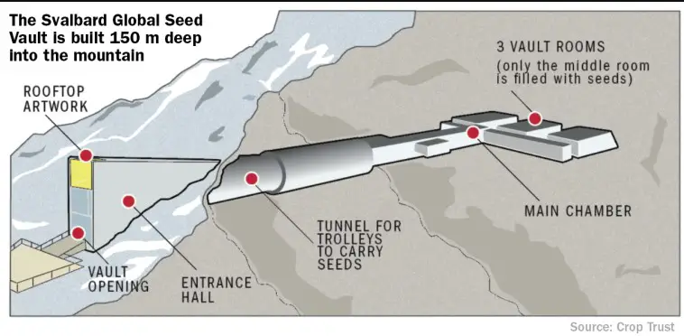 Kıyamet Günü Ambarı Norveç Svalbard Küresel Tohum Deposu