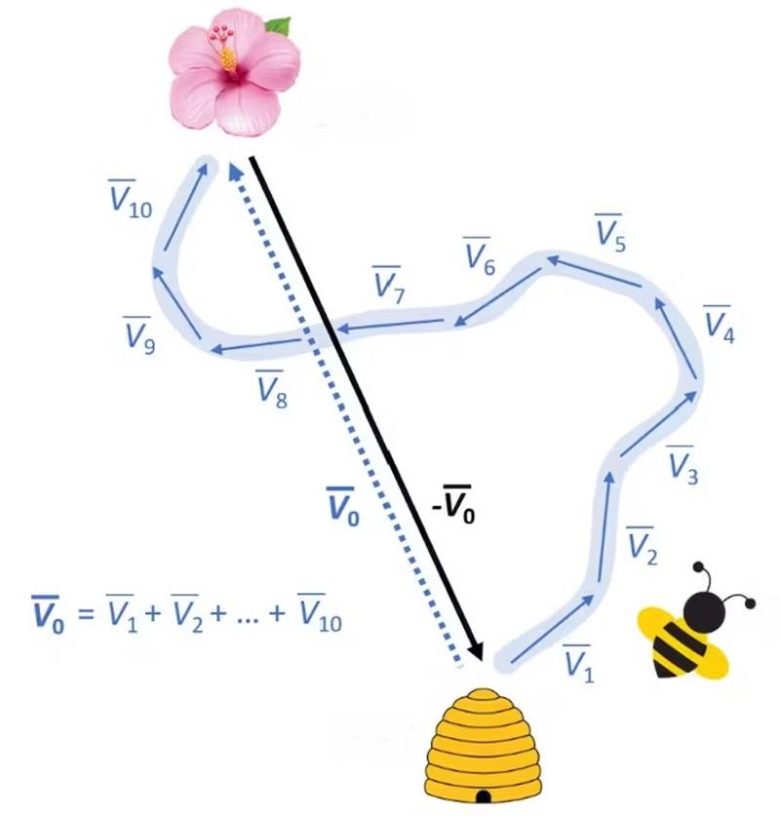 arılar matematik