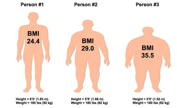 vücut kitle indeksi