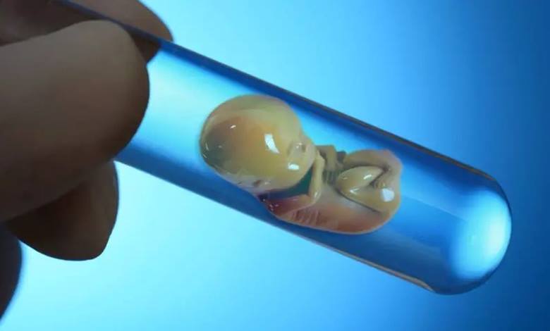 Bilim İnsanları Sperm ve Yumurta Kullanmadan Yapay İnsan Embriyosu Üretti! Peki Şimdi Ne Olacak?