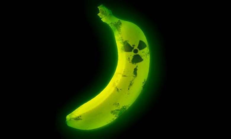 Muz Radyasyon Yayar mı? Ölümcül Dozda Radyasyon Almak İçin Kaç Muz Yemek Gerekir?