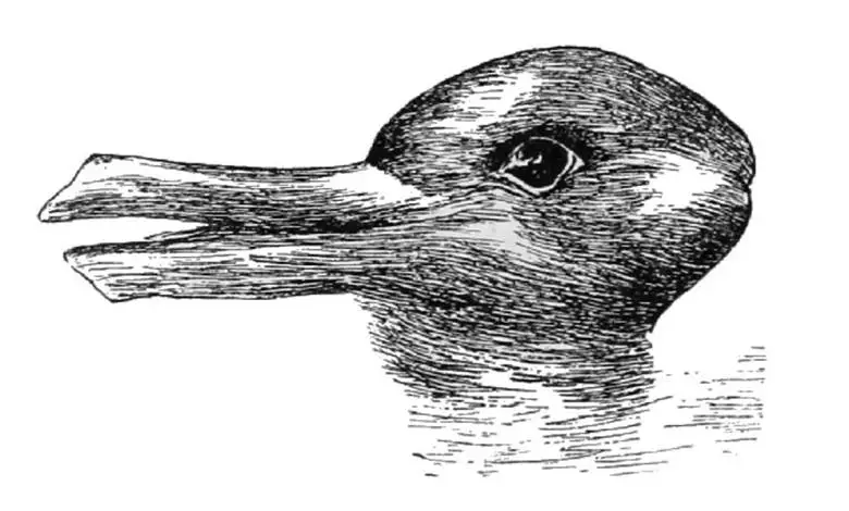 Bir Ördek mi Yoksa Tavşan mı? Ludwig Wittgenstein Ve Algının Felsefesi
