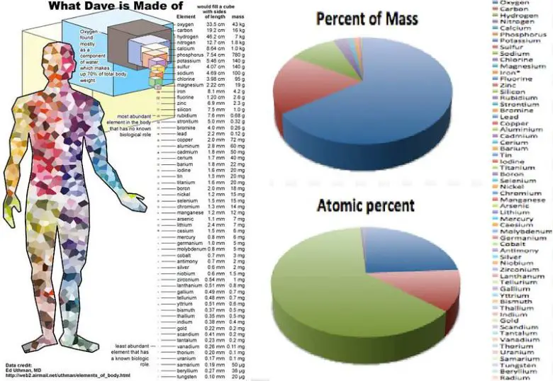 Vücudumuzda Hangi Elementler Var?