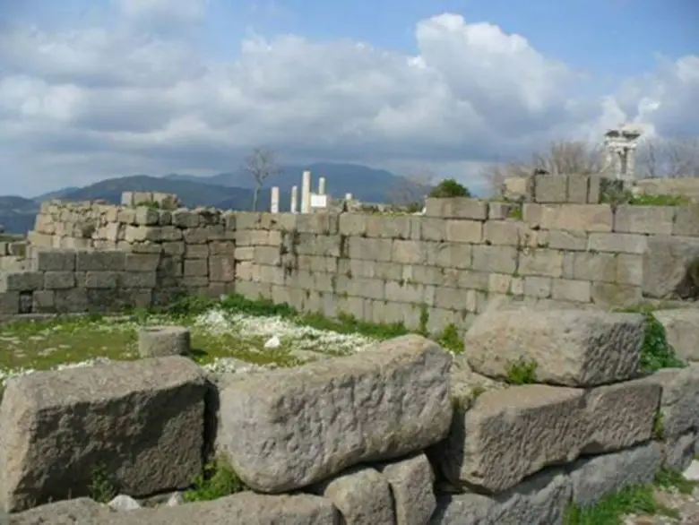 Bergama mı İskenderiye mi? Antik Dünyanın En Büyük Kütüphanesi Hangisi?