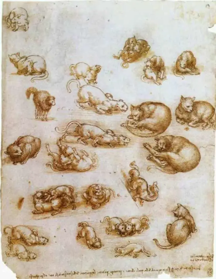 Leonardo da Vinci'nin Zamanının İlerisinde Olduğunun Üç Kanıtı