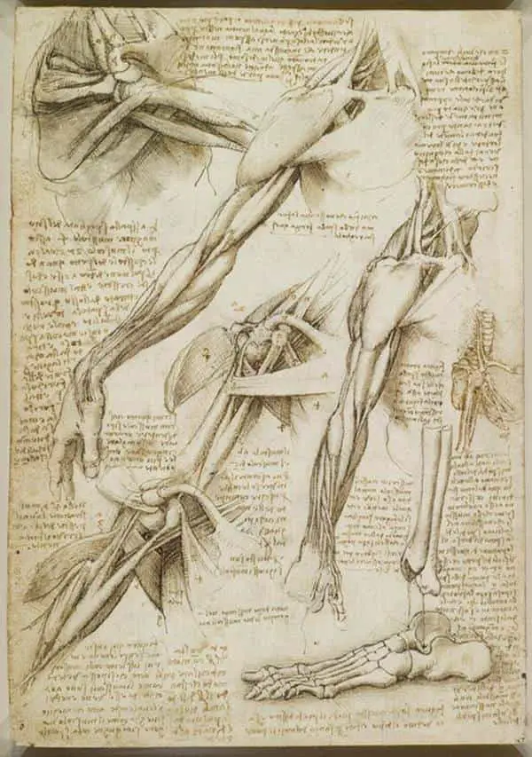 Leonardo da Vinci eserleri