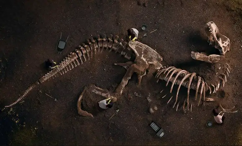 Dinozorlar Bir Zamanlar Tüm Dünyada Yaşadılarsa Neden Kemiklerini Her Yerde Bulamıyoruz?