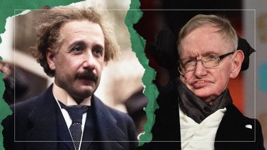 einstein hawking