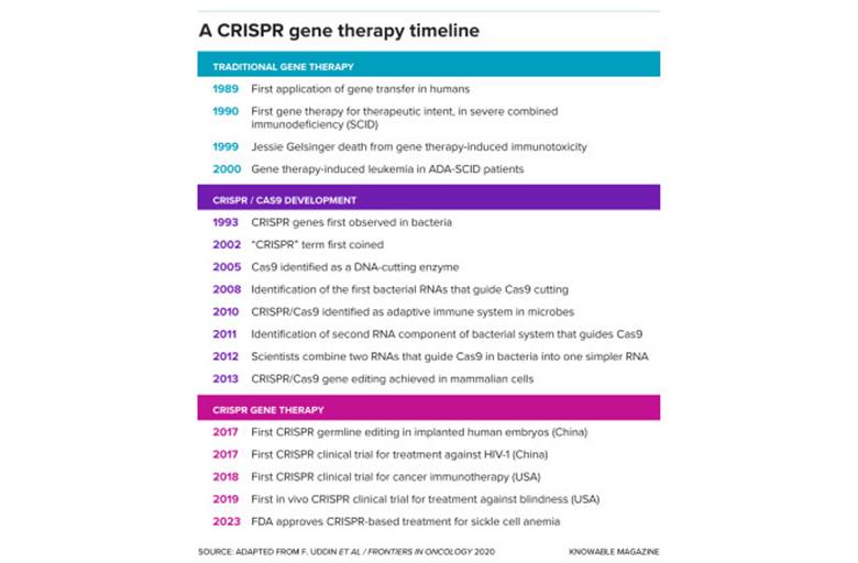 CRISPR Gen Düzenleme Nedir? Genetik Bilimi Nereye Doğru Gidiyor?