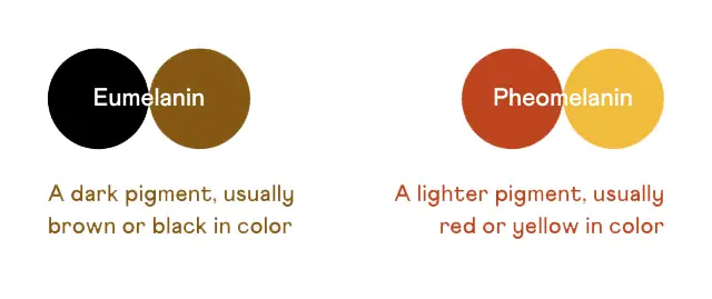 İnsanlar Neden Kızıl Saçlı Oldu? Kızıl Saç Rengi Bir Avantaj Sağlar mı?