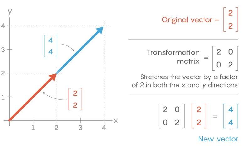 Matrisler Nedir Ve Neden Matematikçiler İçin Çok Önemlidir?