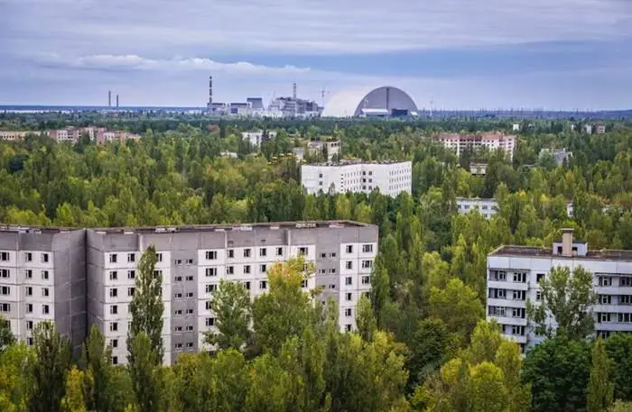 Bitkiler Kanser Oluyor İse Çernobil'deki Bitkiler Neden Kanserden Ölmüyor?