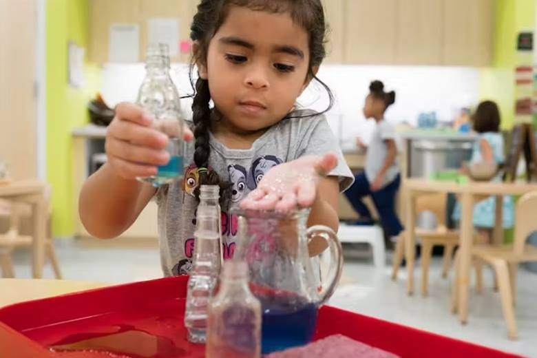 Waldorf Okulları VS Montessori Okulları: Fark Nedir?
