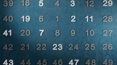 asal sayıları saymak