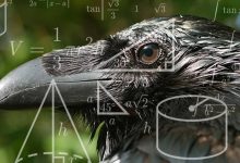 karga geometri