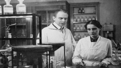 Lise Meitner