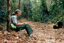 Jane Goodall