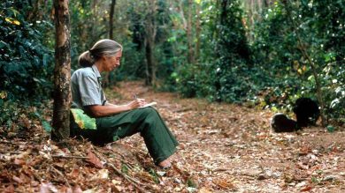 Jane Goodall