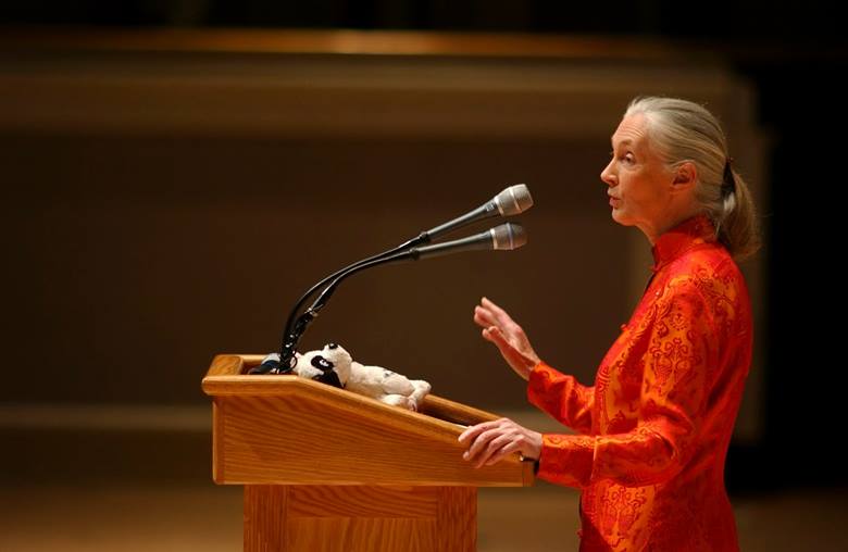 Jane Goodall